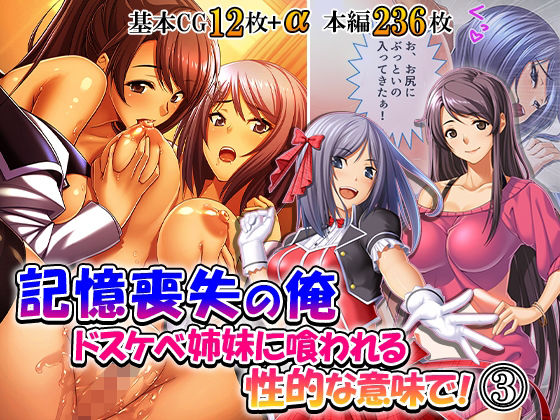 記憶喪失の俺…ドスケベ姉妹に喰われる、性的な意味で！ 3巻【悶々堂】